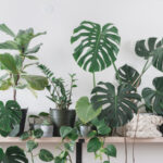 Nordic 3. Complementary accessories