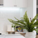 Caesarstone_White Kitchen_Intense White_Colour 6