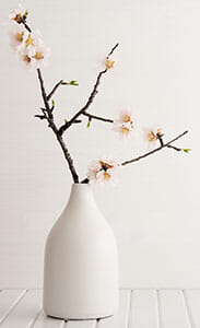 modern 3. Complementary accessories vase